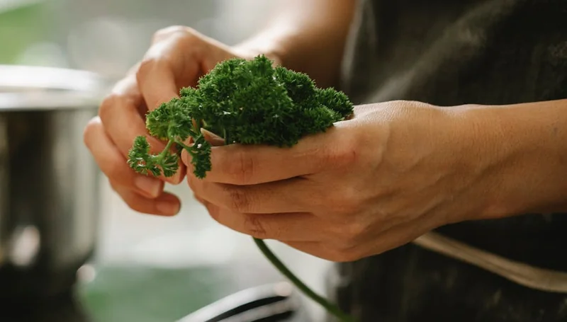 미나리 효능 부작용 영양성분 먹는법