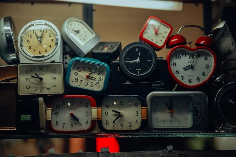 생체시계 치매 위험