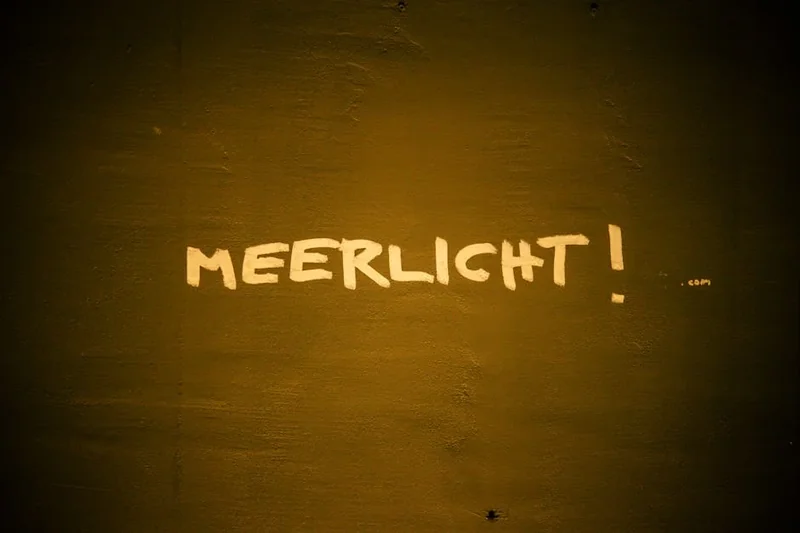 인슐린 저항성 원인 증상 치료