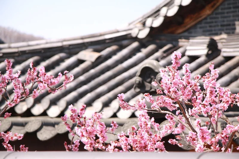 인주 로또명당