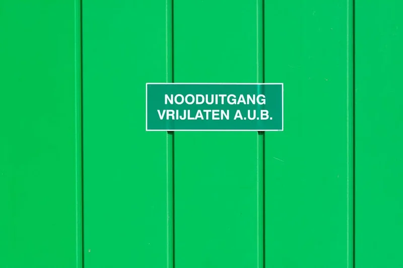 4월 알레르기 아연 비타민D