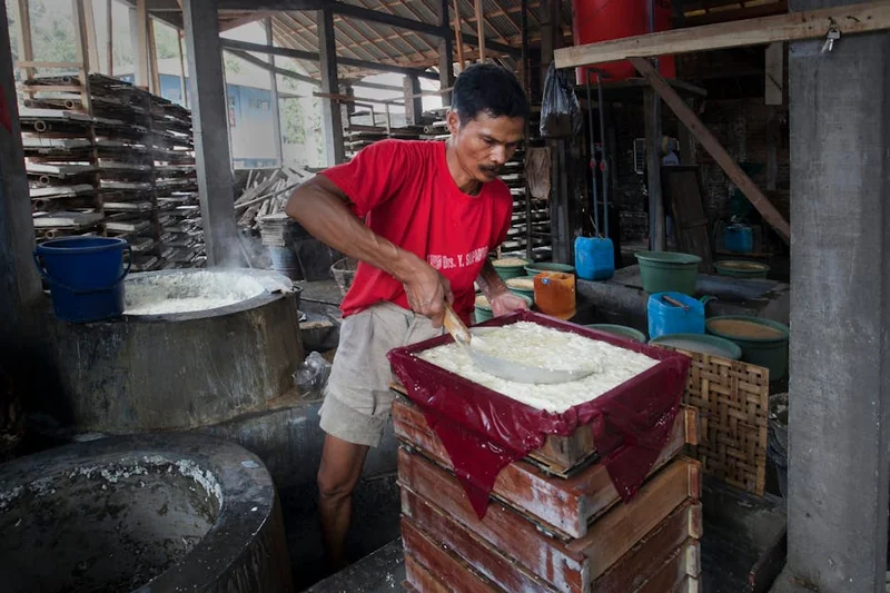 고로쇠물 효능 7가지 2026