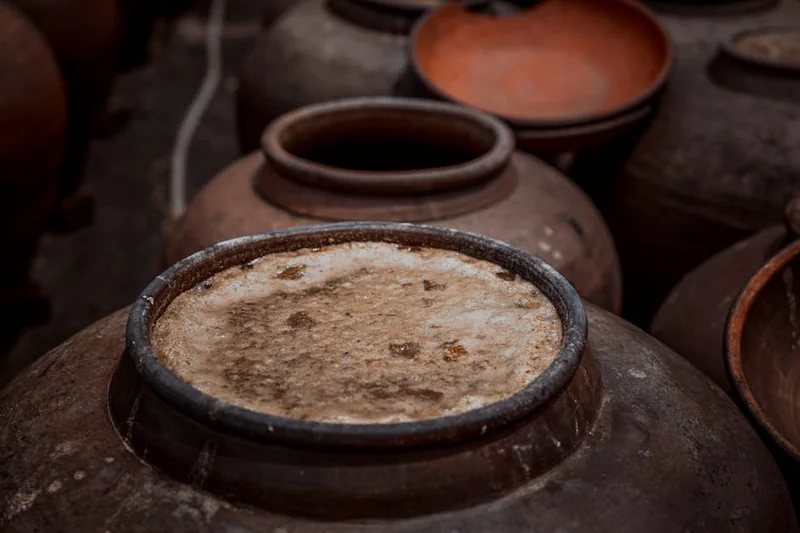 고로쇠물 효능 7가지 2026