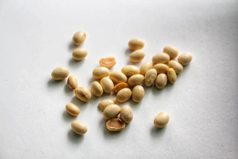 고로쇠물 효능 7가지 2026