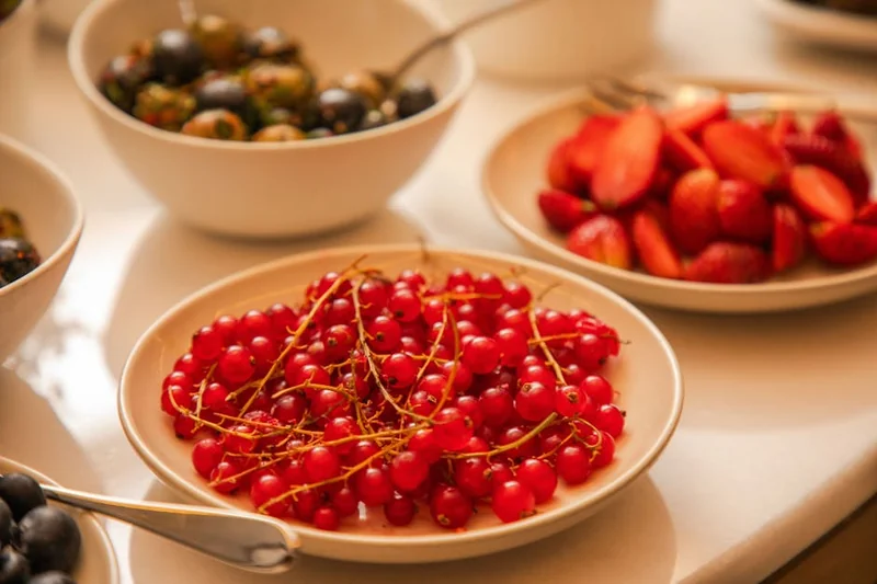 노화 촉진 식품 5가지