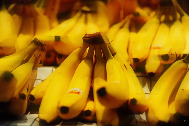 바나나 뇌 건강 비타민B6 칼륨 효능