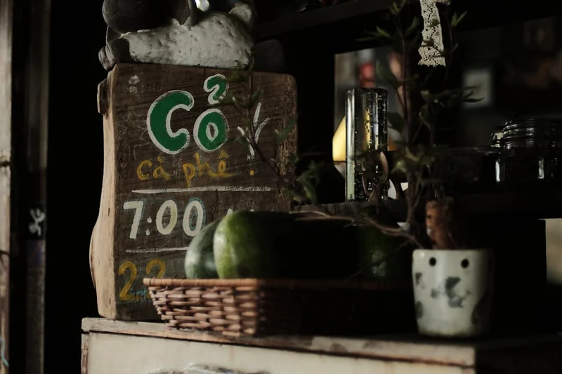 아로니아 효능 BEST 7