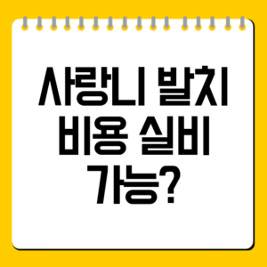 사랑니 발치 비용 실비 가능?
