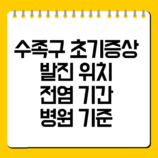수족구 초기증상 |발진 위치·전염 기간·병원 기준